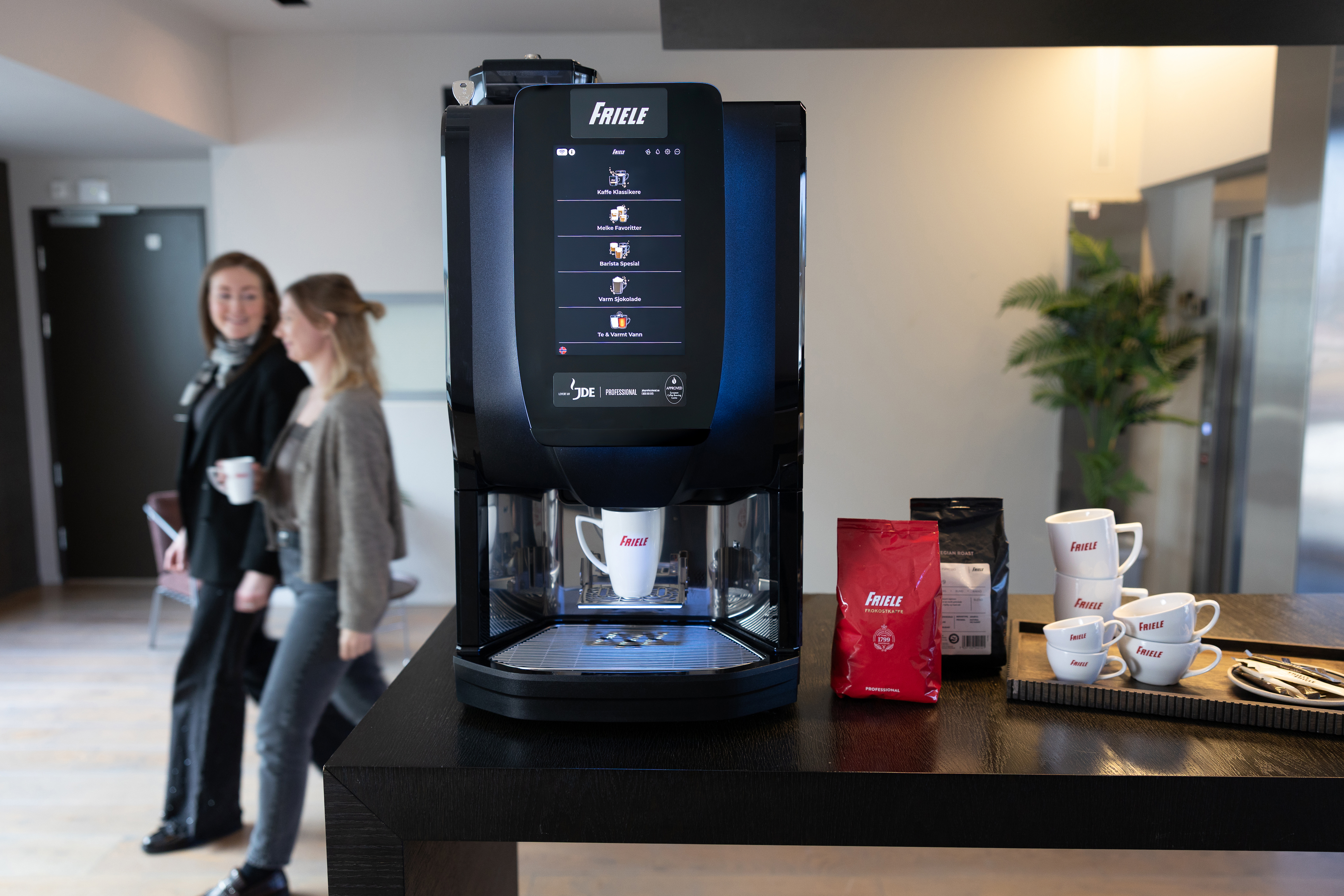 friele g300 1
