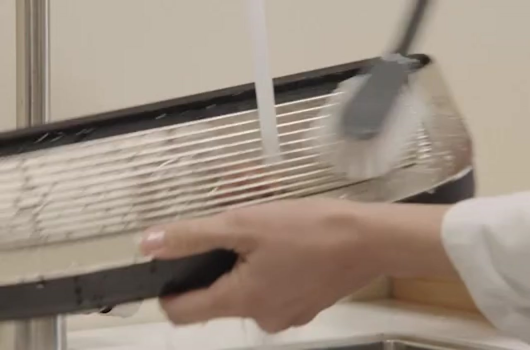 NO - daily cleaning - step 9