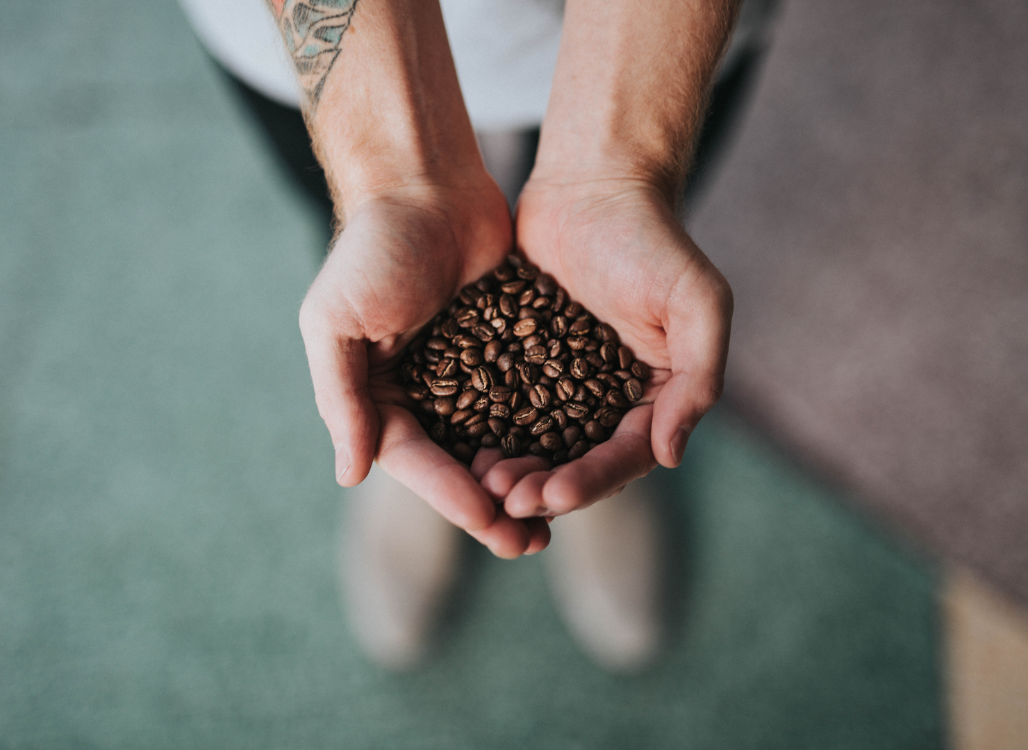 two hands holding coffee
