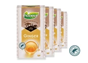 Pickwick Tea Master Selection Ginger - 4 x 25 Stk